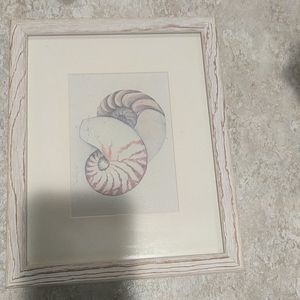 Vintage seashell picture